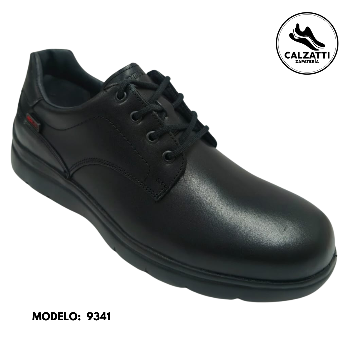 Zapato para servicio de Piel 